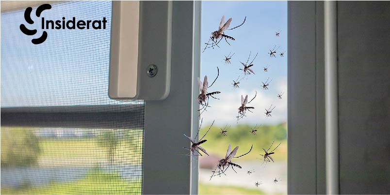 How to Get Rid of Mosquitoes Inside the House Naturally?